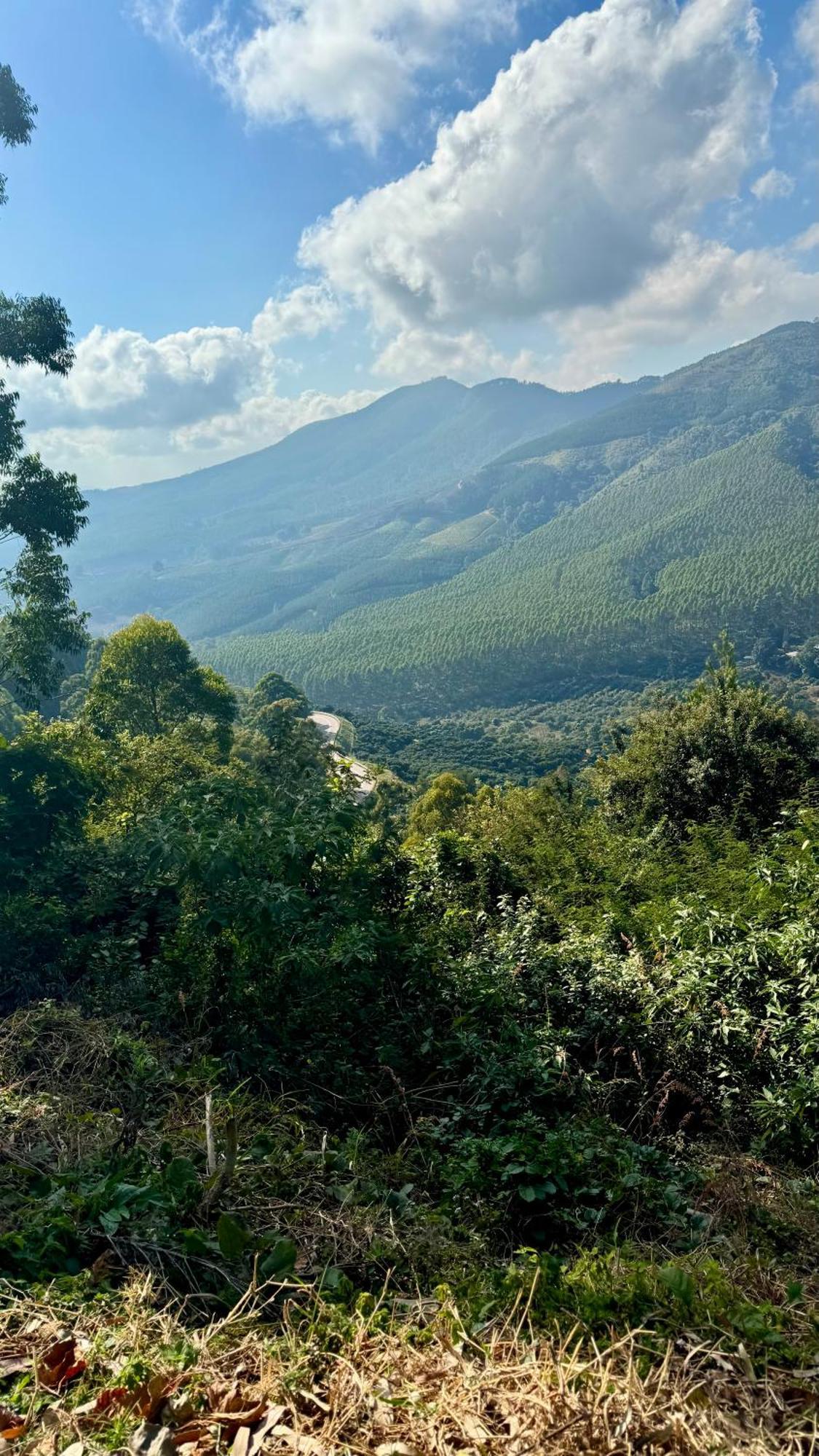 Magoebaskloof Mountain Lodge Tzaneen Eksteriør bilde